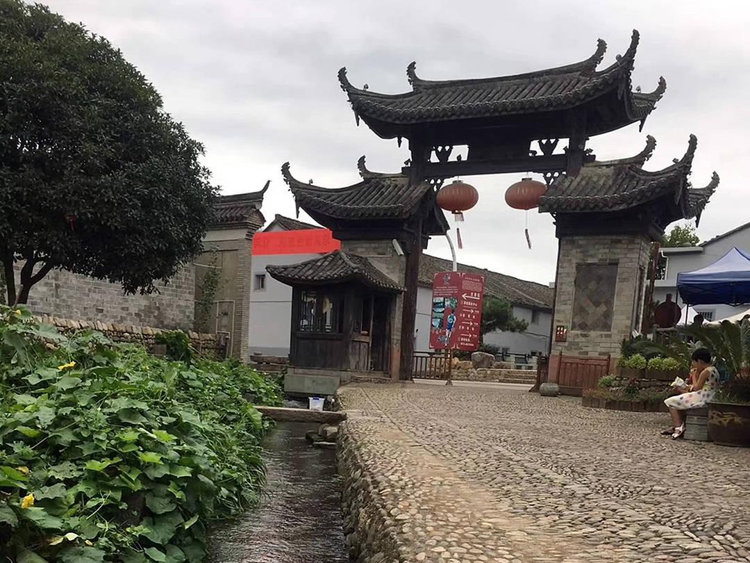 救援鹦鹉
